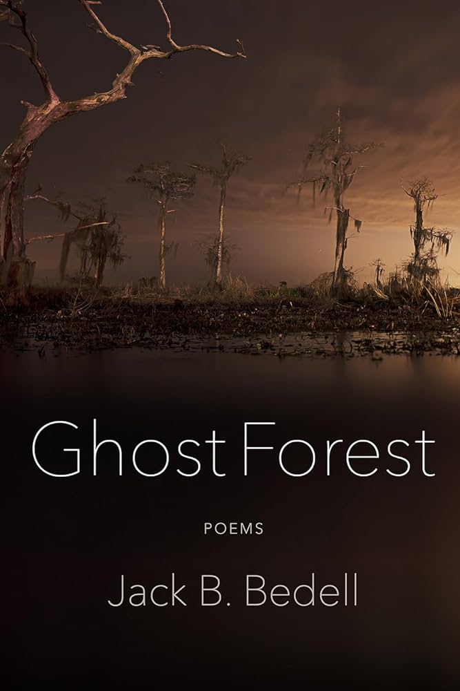ghost-forest.jpg?w=640